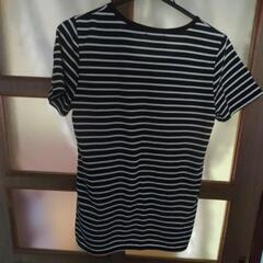 Tシャツの画像