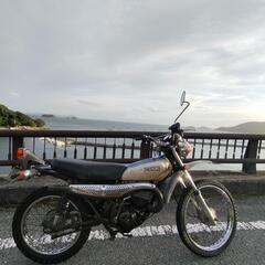 tl125 バイアルス 実働の画像