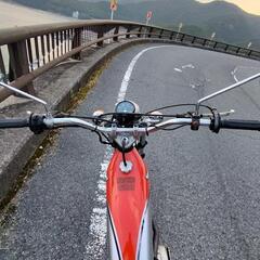 tl125 バイアルス 実働の画像