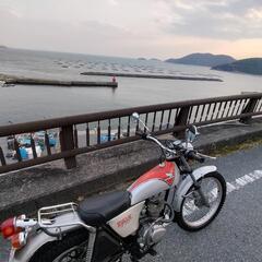 tl125 バイアルス 実働の画像