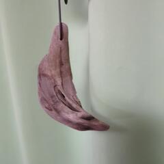 流木まとめ売りの画像