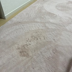 カーペット200x290の画像
