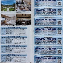 【2025/11/30まで】ANA株主優待券5枚あります   + ANAグループ優待券・セットの画像