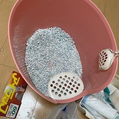 猫トイレの画像