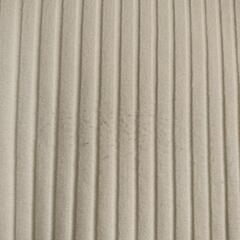 レディース　カットソーの画像
