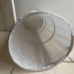 猫 トンネルの画像