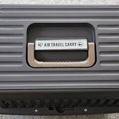 ペットのエアトラベルキャリーの画像