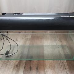 60cmスリム水槽&照明の画像