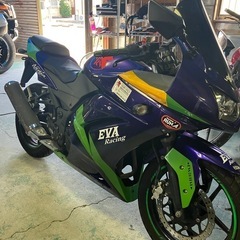 エンジン始動動画あり　堺市堺区　ニンジャ250R EVA初号機の画像