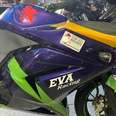 エンジン始動動画あり　堺市堺区　ニンジャ250R EVA初号機の画像