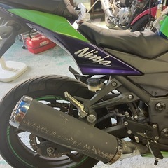 エンジン始動動画あり　堺市堺区　ニンジャ250R EVA初号機の画像