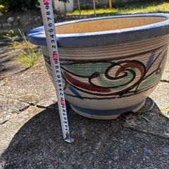 鉢　植木　金魚　メダカの画像