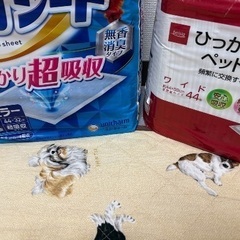 ペットシーツの画像