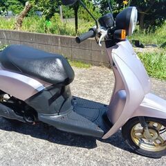 トゥデイ50cc　　の画像