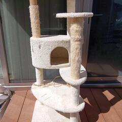 【条件付き無料】キャットタワーの画像