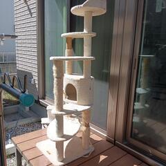 【条件付き無料】キャットタワーの画像