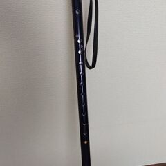 杖(伸縮式)の画像
