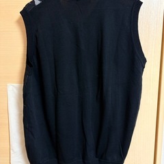 タグ付き🏷️ベスト　L sizeの画像