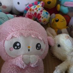 ぬいぐるみまとめての画像