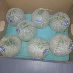 格安❗富良野赤肉メロン❗７玉サイズ１ケース❗の画像