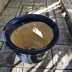 陶器＊植木鉢①の画像