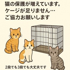 【急募】 猫用のケージをください