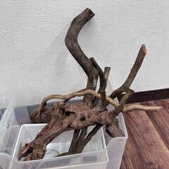 アクアリウム用 流木の画像