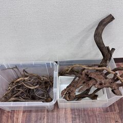 アクアリウム用 流木の画像