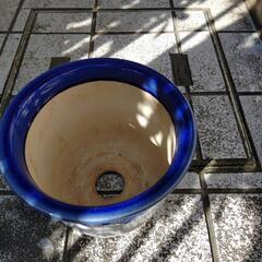 陶器＊植木鉢②の画像