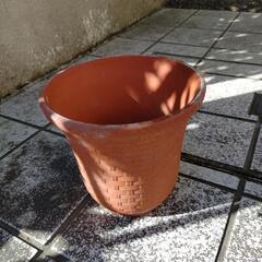 陶器＊植木鉢③の画像