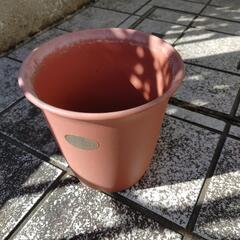 プラスチック＊植木鉢の画像