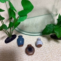 美品　ガラス　デザイン　水槽　金魚鉢　おまけ付きの画像