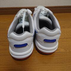 アサヒ体育館シューズ30cmの画像