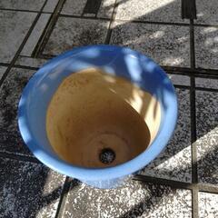 陶器＊植木鉢④の画像