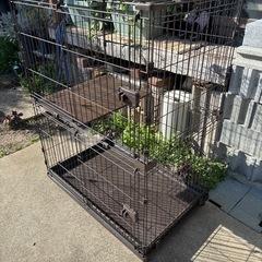 猫　犬　ケージ　　　　の画像