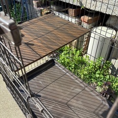猫　犬　ケージ　　　　の画像
