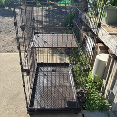 猫　犬　ケージ　　　　の画像