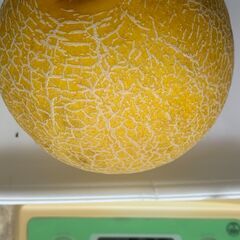 マスクメロン 575ｇ※ 訳ありの画像