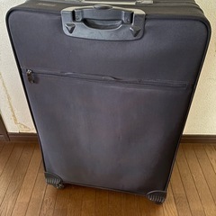 大きめキャリーケースの画像
