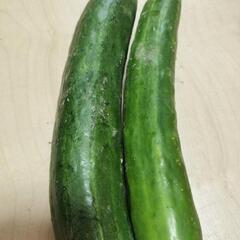 【訳あり】野菜たちの画像