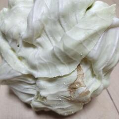 【訳あり】野菜たちの画像