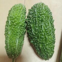 【訳あり】野菜たちの画像