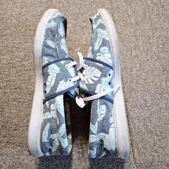 👟DCスニーカー👟の画像
