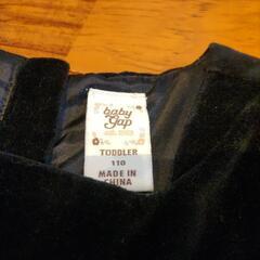 GAP　110の画像