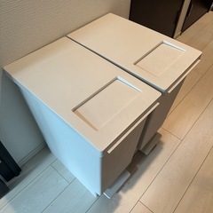 新輝合成 ゴミ箱 45L　トンボスウィッシの画像
