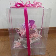 ブリザードフラワーの画像