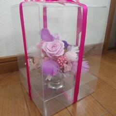 ブリザードフラワーの画像