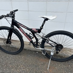 Specialized　マウンテンバイク　スタンプジャンパー改の画像
