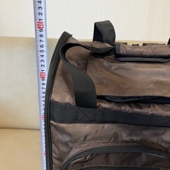 ペットリュック　リアルの画像