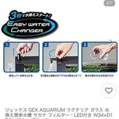 GEX水槽　ラクテリアの画像